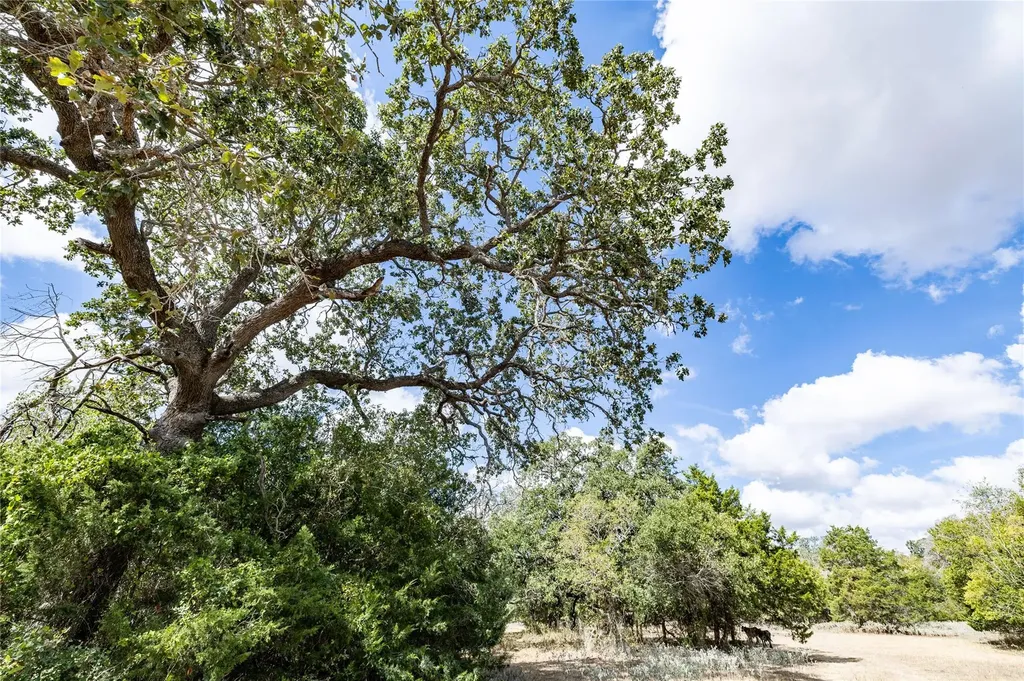 1350 Cattlemens Row Lockhart TX 78644