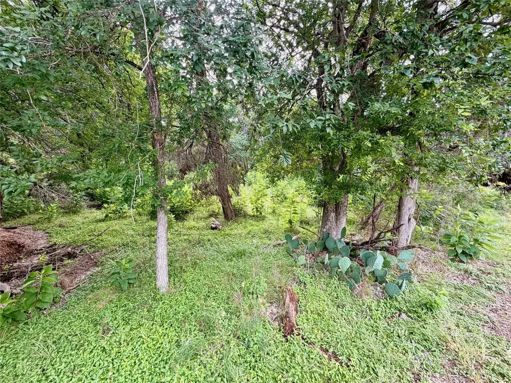 20900 Mohawk Street Lago Vista TX 78645