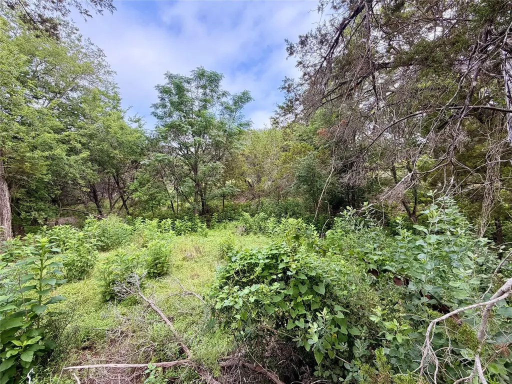 20900 Mohawk Street Lago Vista TX 78645