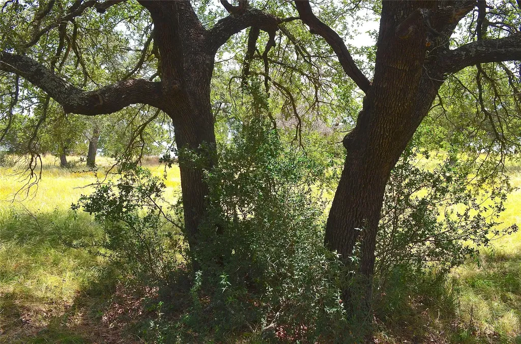W2091 Turquoise Horseshoe Bay TX 78657