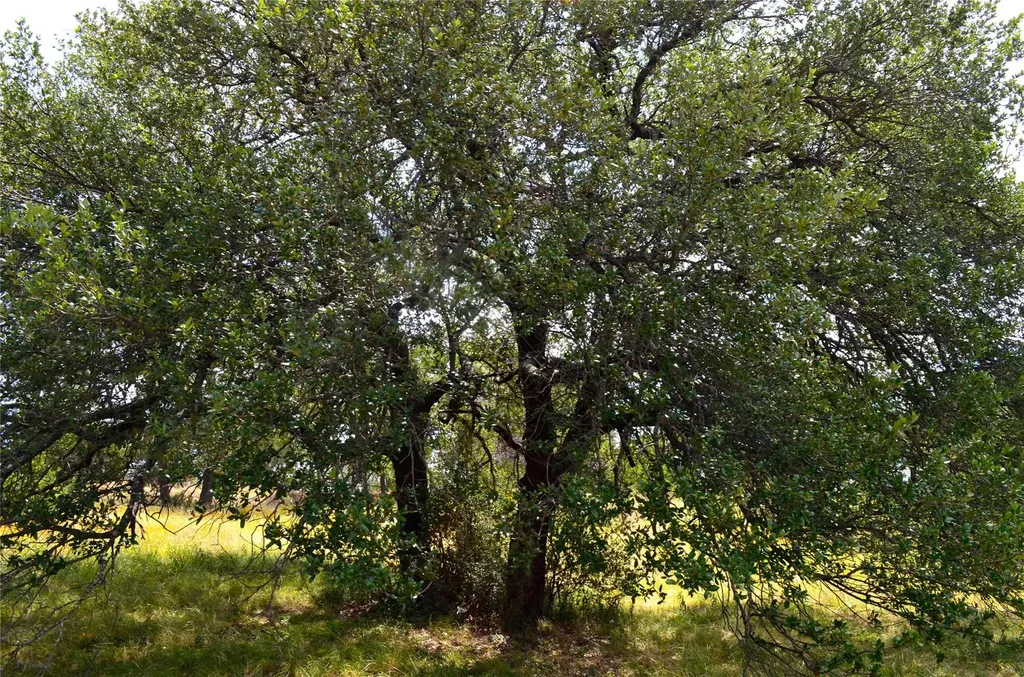 W2091 Turquoise Horseshoe Bay TX 78657