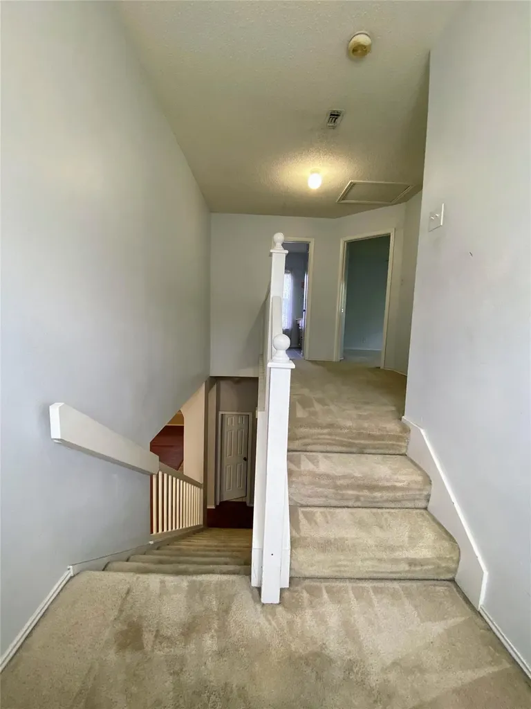 3215 Tree Grove Drive San Antonio TX 78247