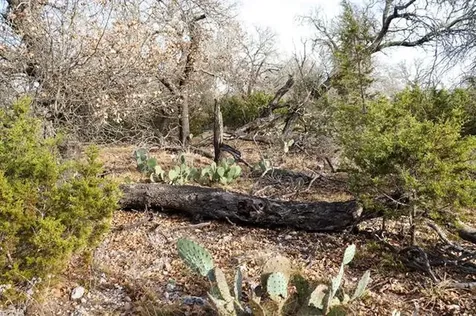 Tbd Lot 7 Whitetail Trail San Saba TX 76877