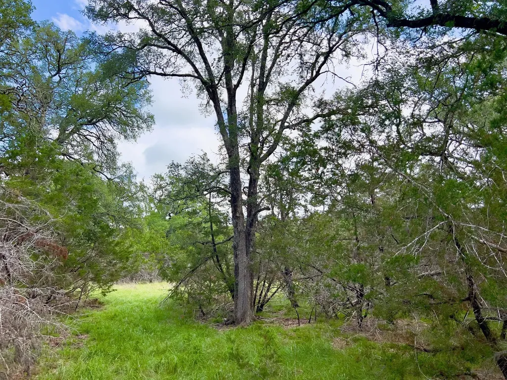 Lot 43-a Narrows Road Blanco TX 78606