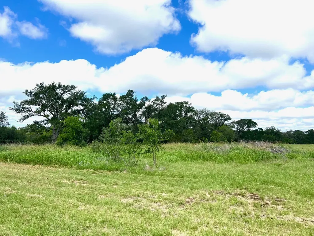 Lot 43-a Narrows Road Blanco TX 78606