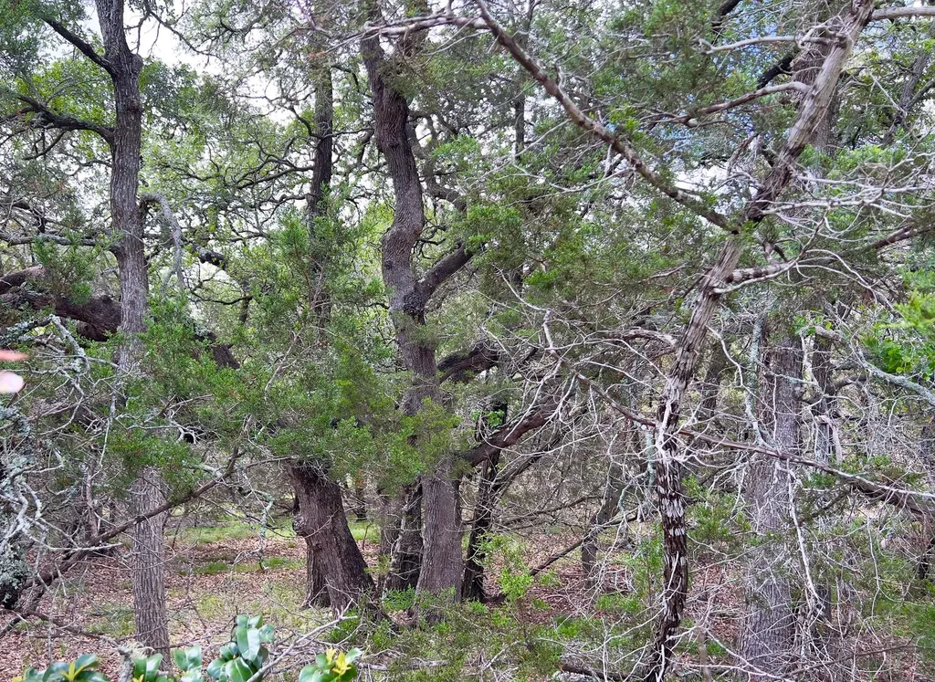 Lot 43-a Narrows Road Blanco TX 78606