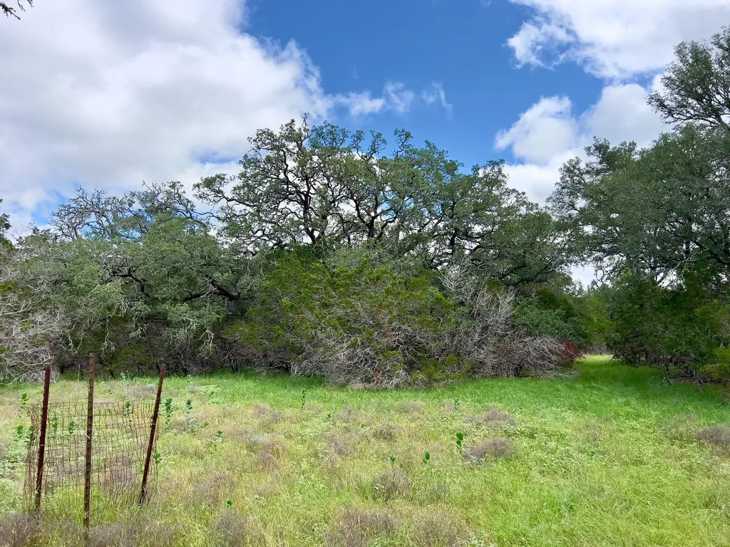Lot 43-a Narrows Road Blanco TX 78606
