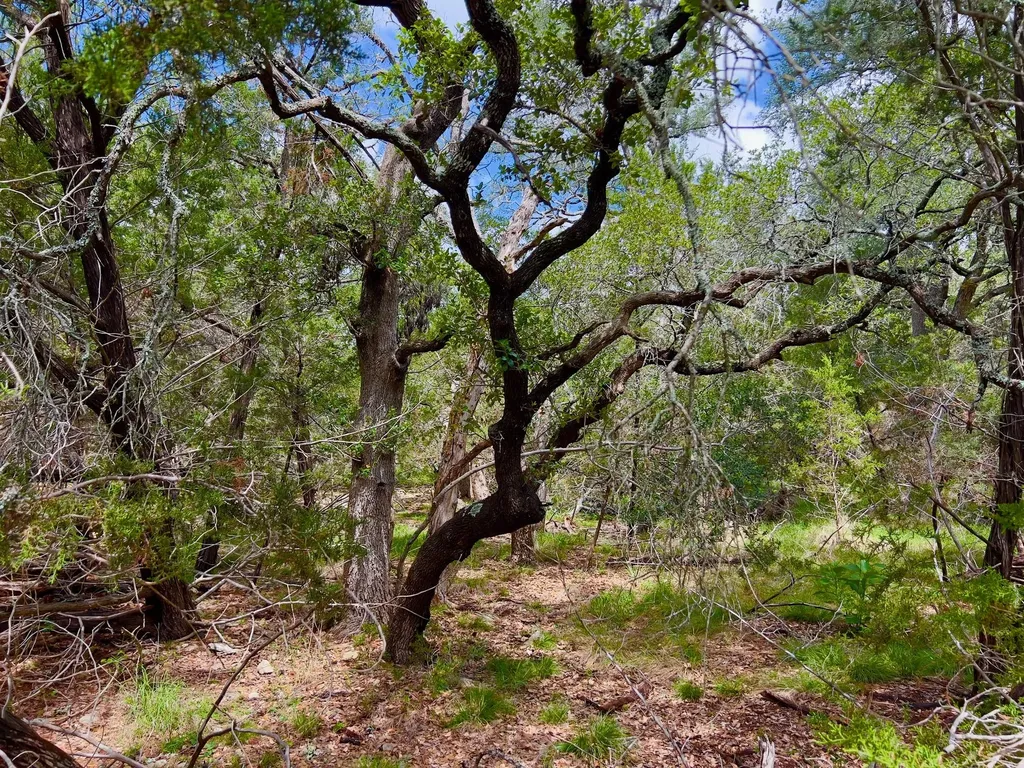 Lot 43-a Narrows Road Blanco TX 78606