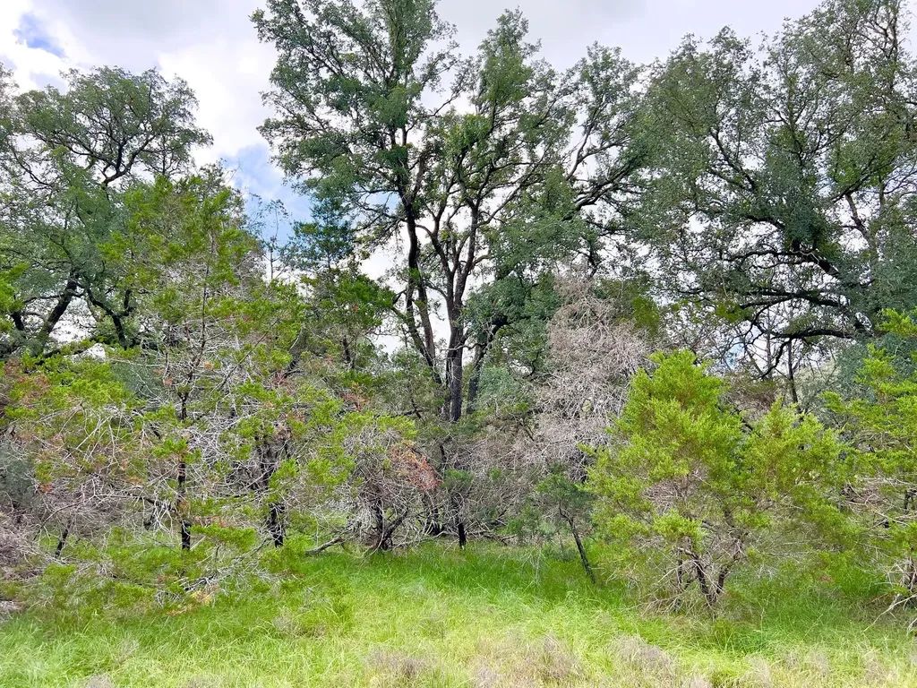 Lot 43-a Narrows Road Blanco TX 78606