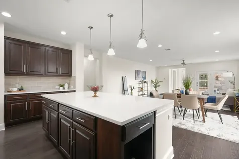 440 Cherokee Rose Circle Georgetown TX 78626