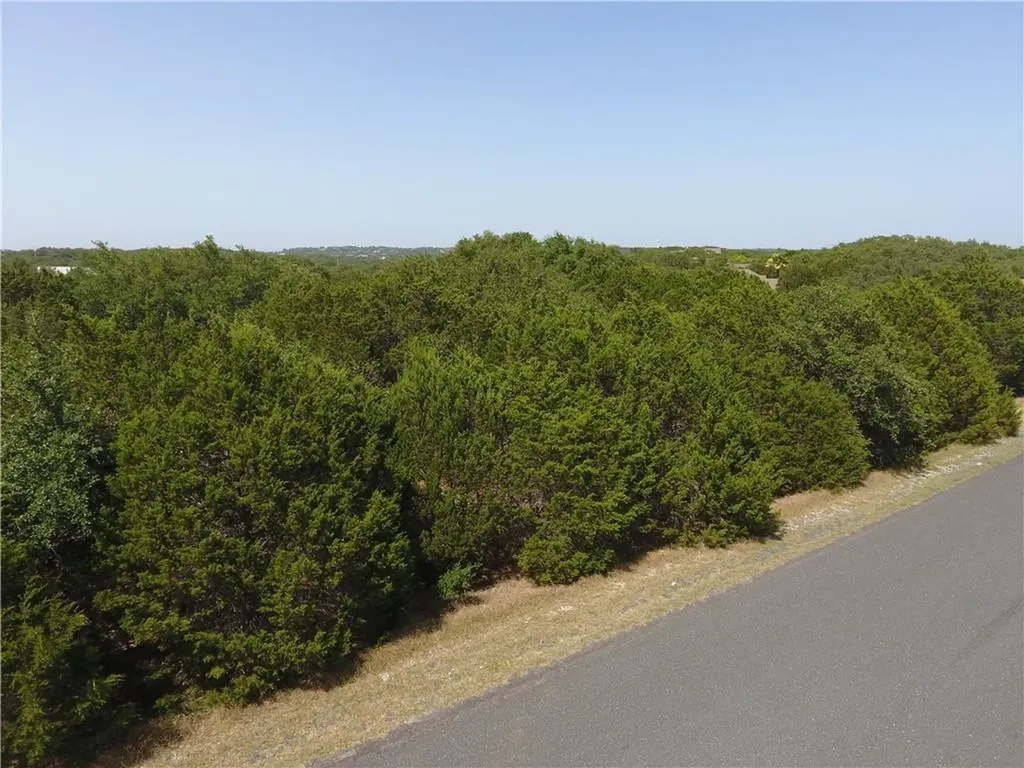 10052 W Cave Loop Dripping Springs TX 78620