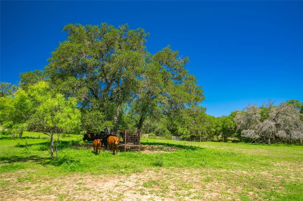 24601 Singleton Bend East Road Marble Falls TX 78654