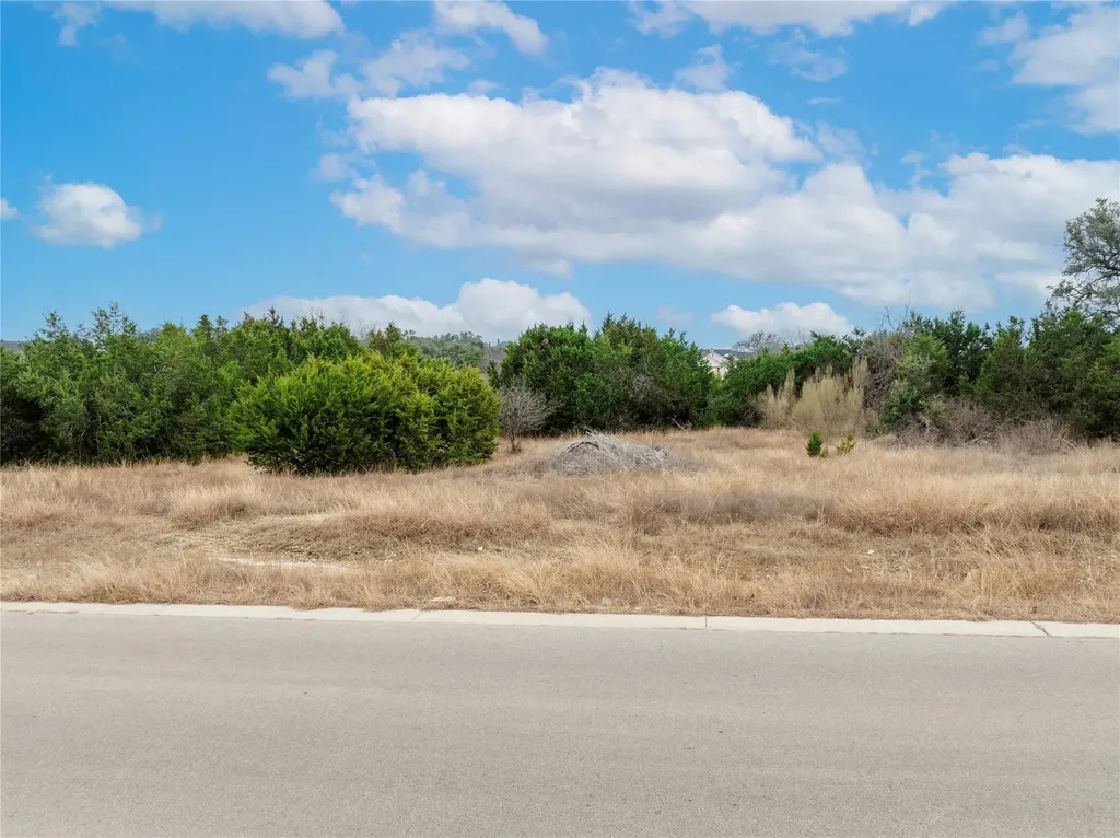 220 Lantana Bud Trail Liberty Hill TX 78642
