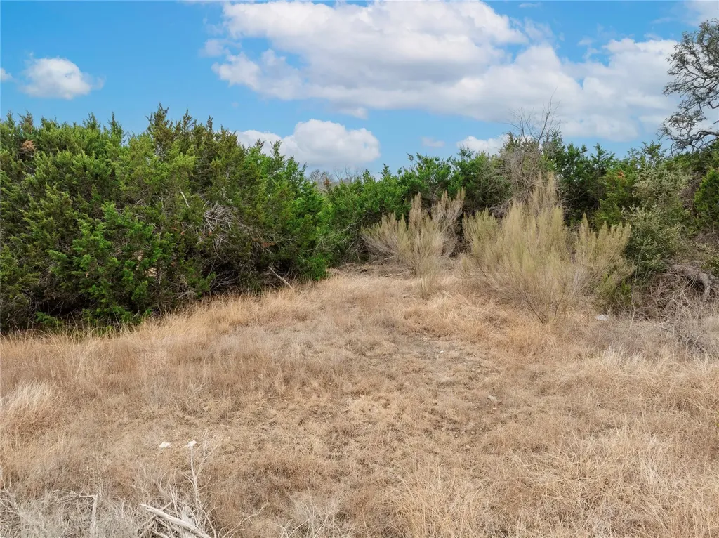 220 Lantana Bud Trail Liberty Hill TX 78642