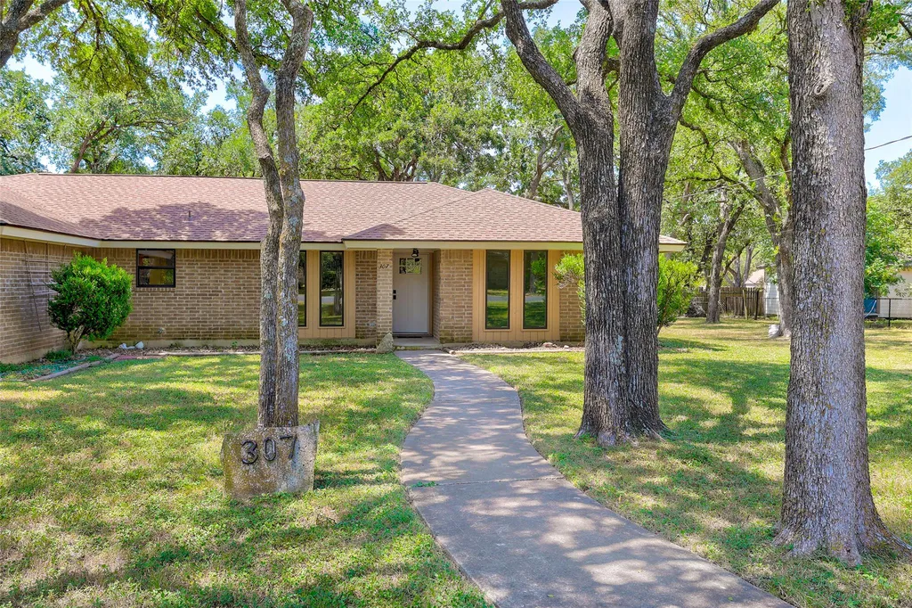 307 Las Plumas Drive Georgetown TX 78628