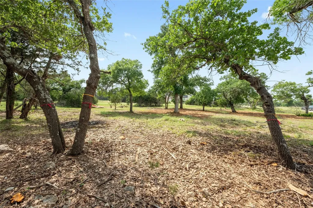 294 Mae Point Dripping Springs TX 78620
