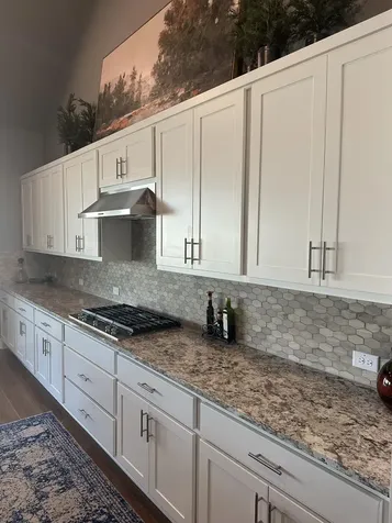 401 Brena Cove Liberty Hill TX 78642