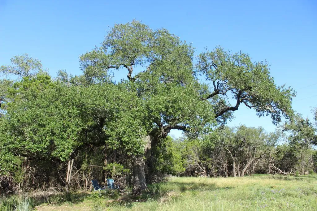 Lots 56-57 Travis Oaks Drive Marble Falls TX 78654