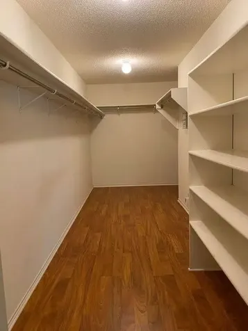 3215 Elizabeth Anne Lane Round Rock TX 78664