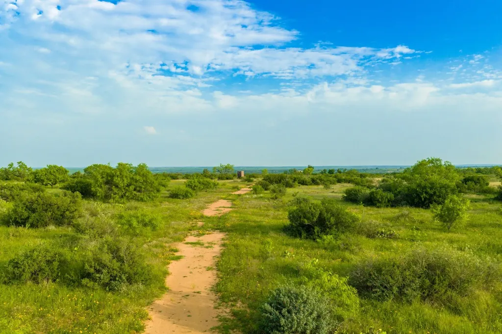 11079 Cr 266 Rochelle TX 76872