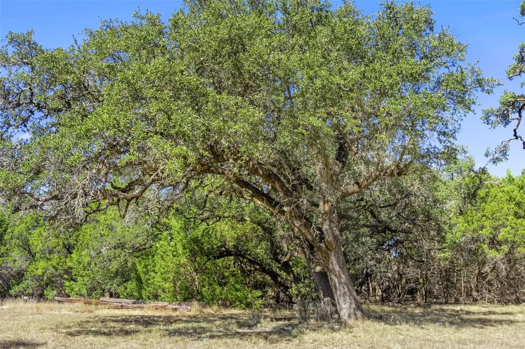1151 Fawn Valley Drive Canyon Lake TX 78133