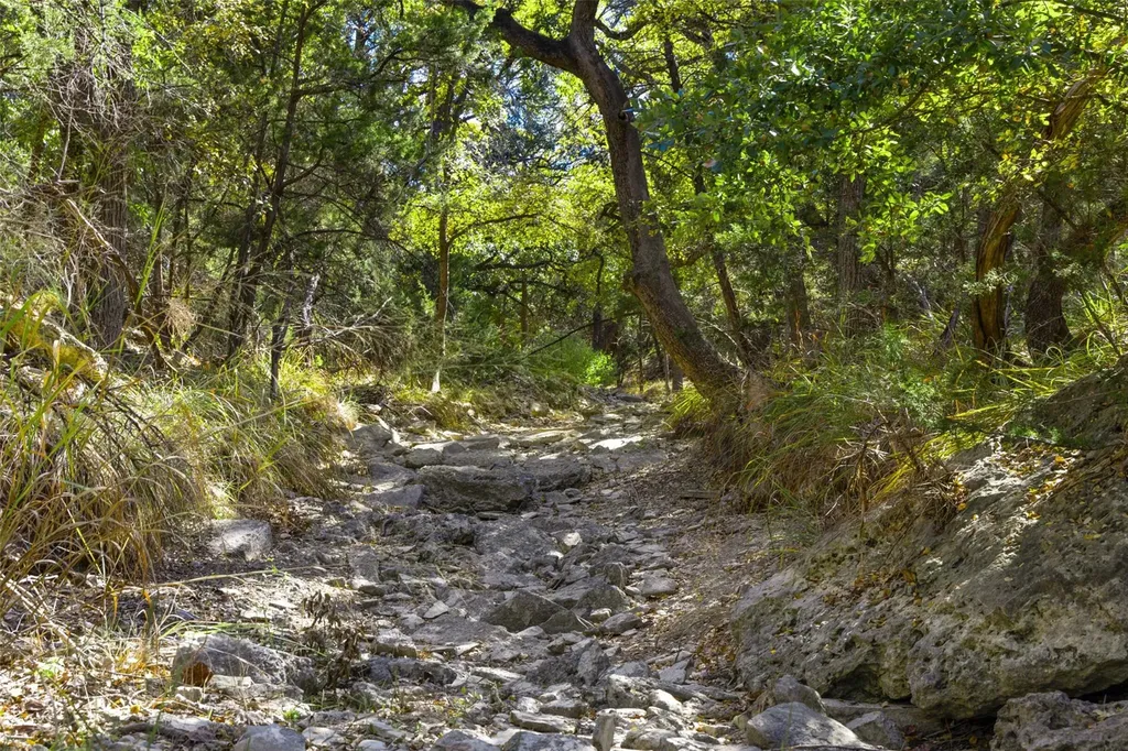 1151 Fawn Valley Drive Canyon Lake TX 78133