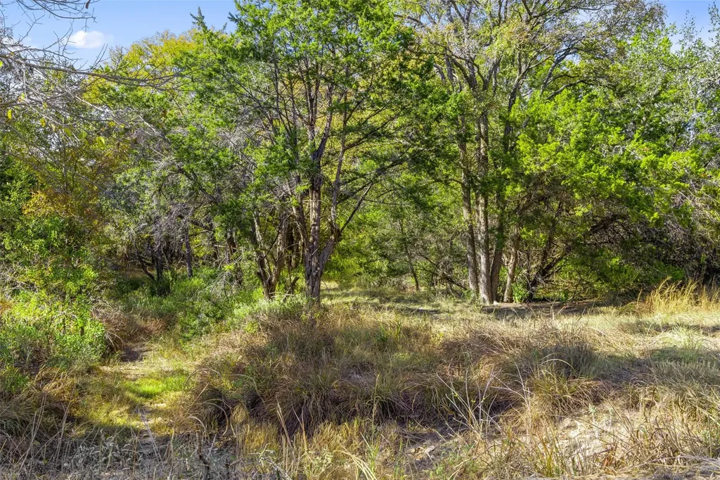 1151 Fawn Valley Drive Canyon Lake TX 78133
