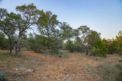 8507 Hammett's Crossing Round Mountain TX 78663