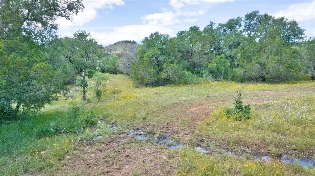 2144 Cr 307 Kingsland TX 78639