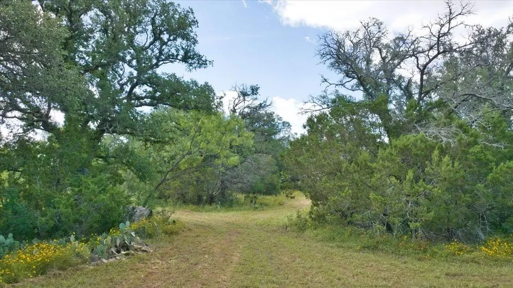 2144 Cr 307 Kingsland TX 78639