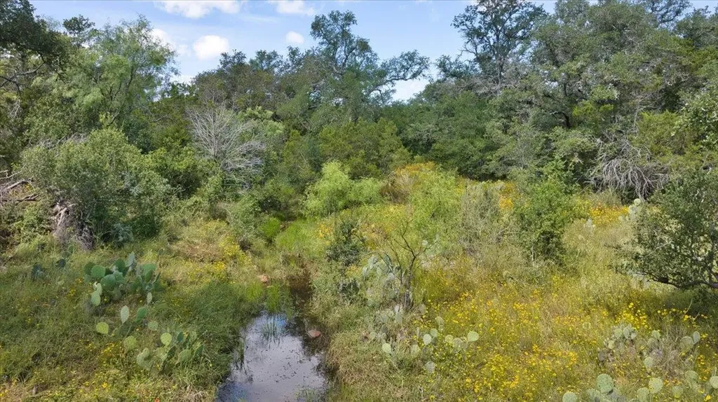 2144 Cr 307 Kingsland TX 78639