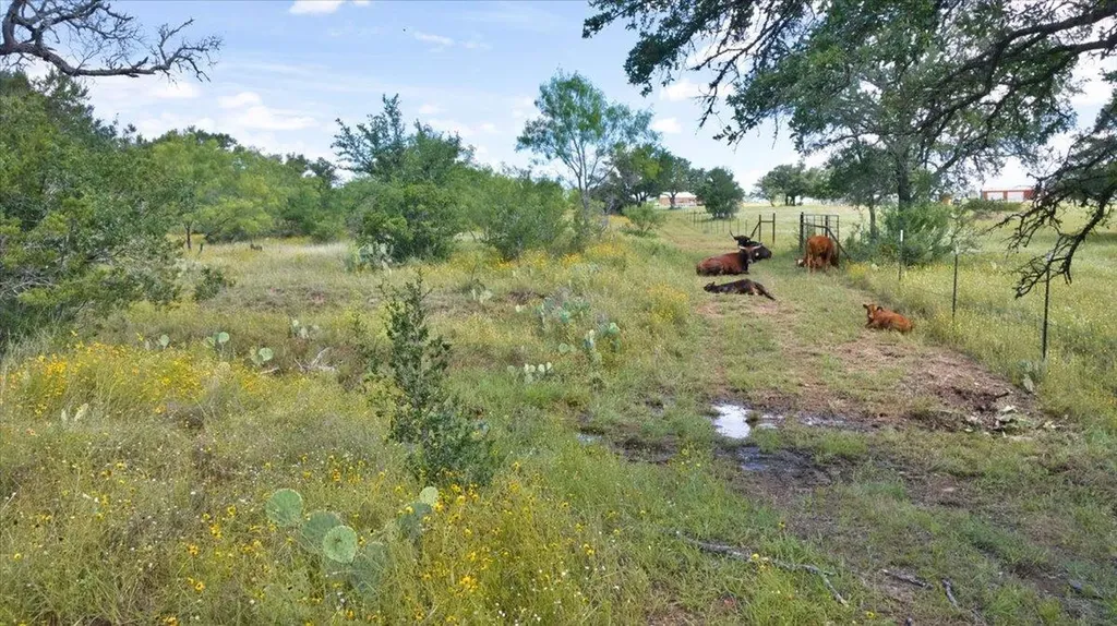 2144 Cr 307 Kingsland TX 78639