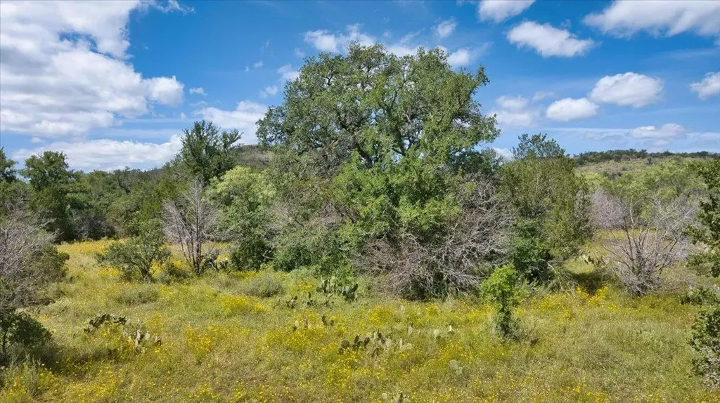 2144 Cr 307 Kingsland TX 78639