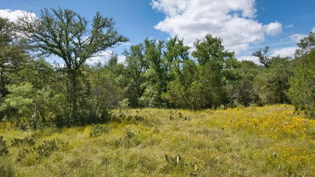 2144 Cr 307 Kingsland TX 78639
