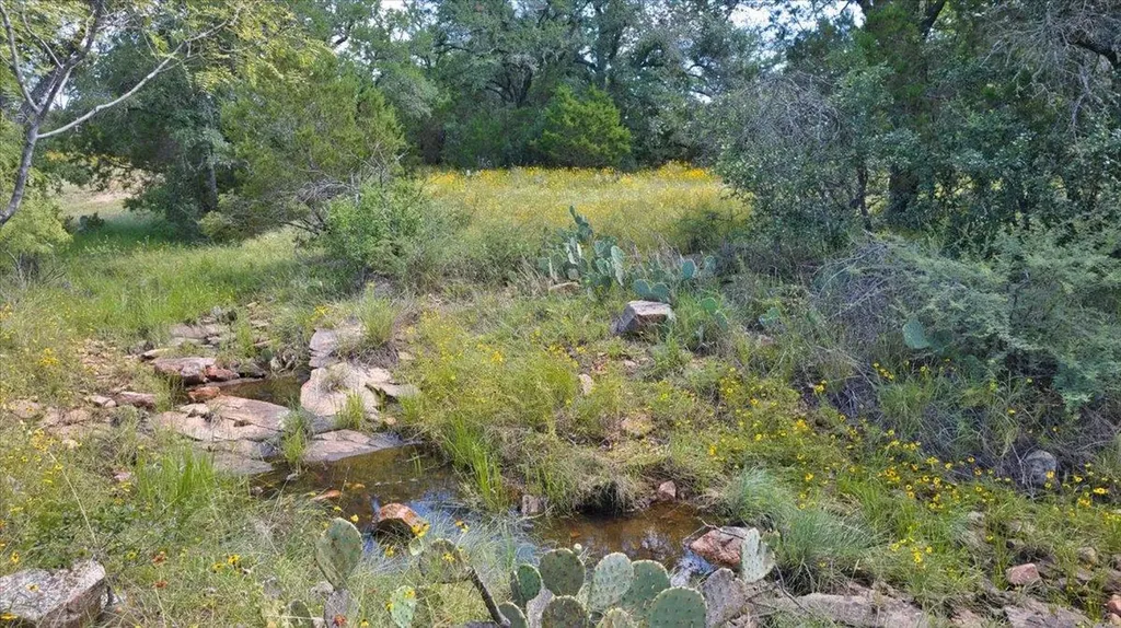 2144 Cr 307 Kingsland TX 78639
