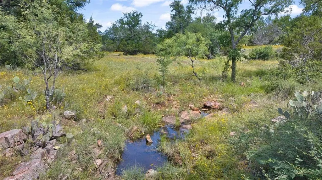 2144 Cr 307 Kingsland TX 78639