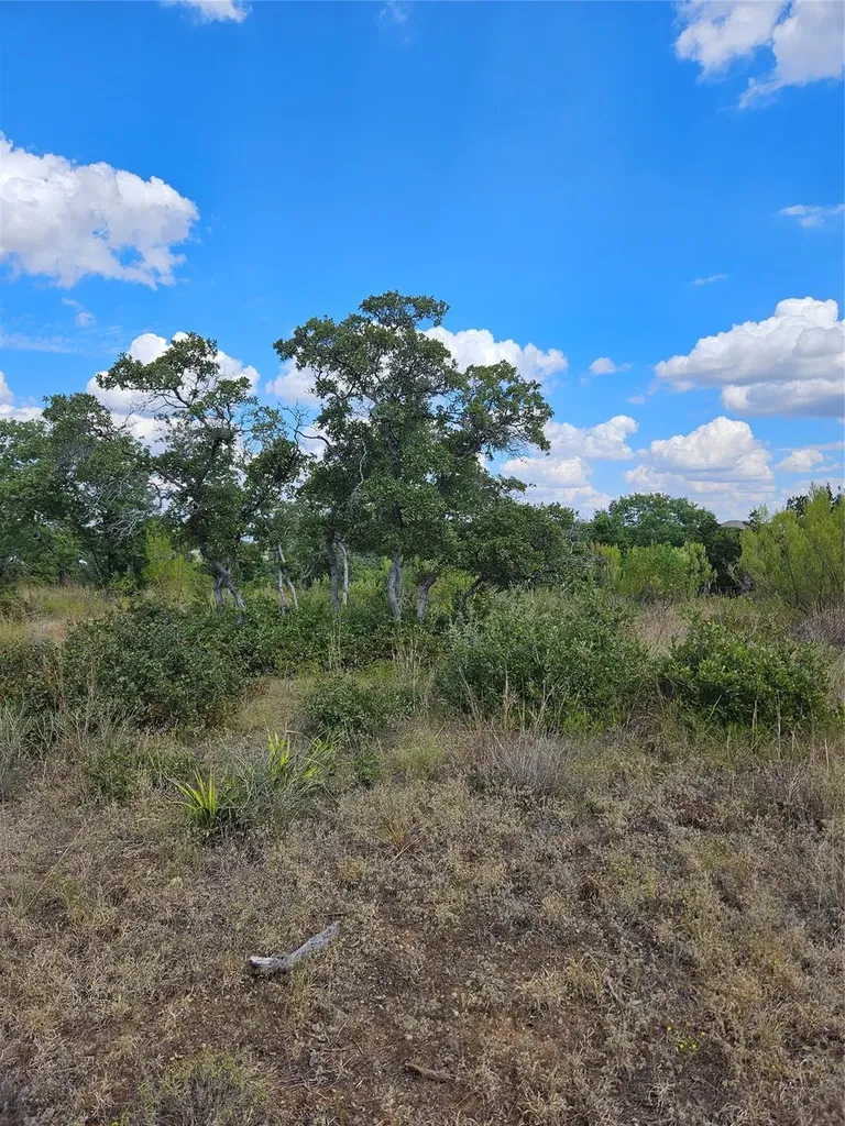 104 N Highway 183 Trail Liberty Hill TX 78642