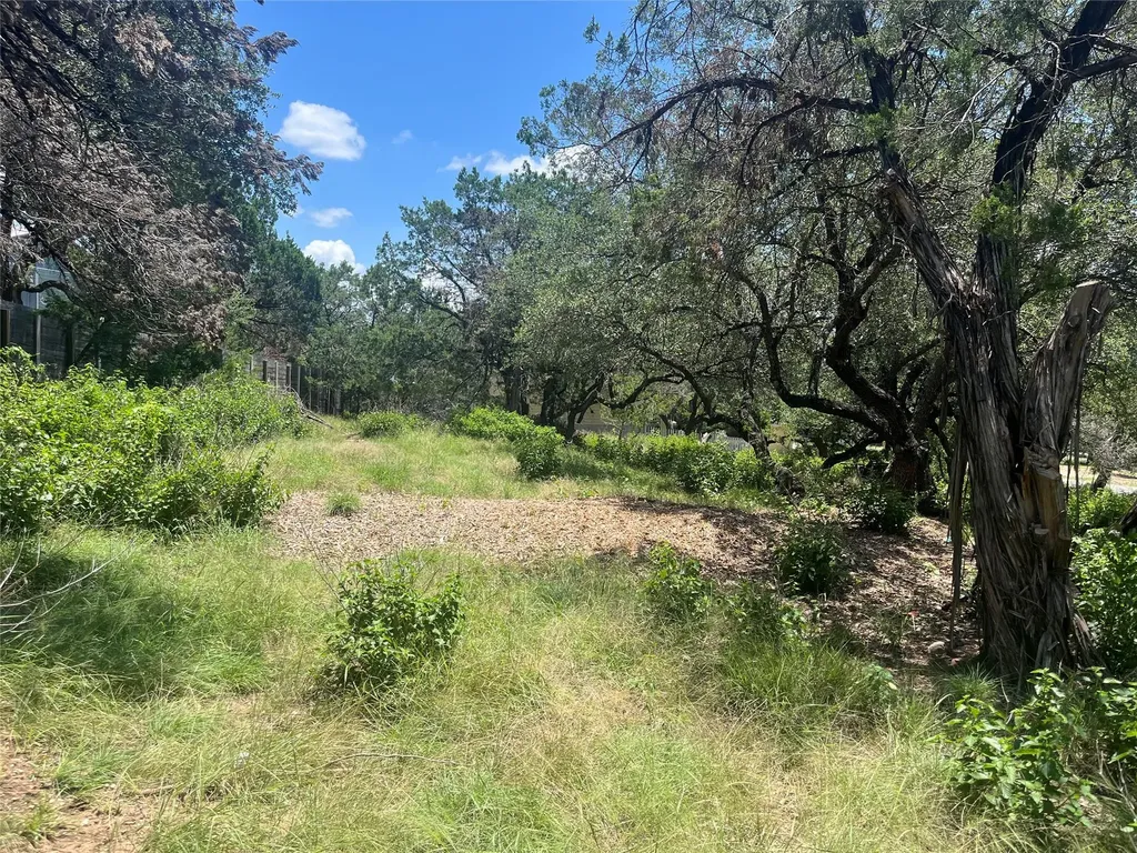 19508 Timberline Drive Spicewood TX 78669