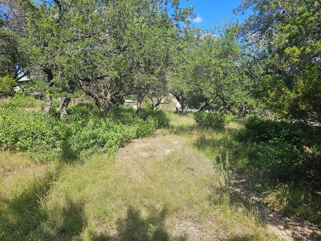 19508 Timberline Drive Spicewood TX 78669