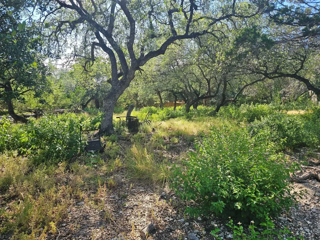 19508 Timberline Drive Spicewood TX 78669