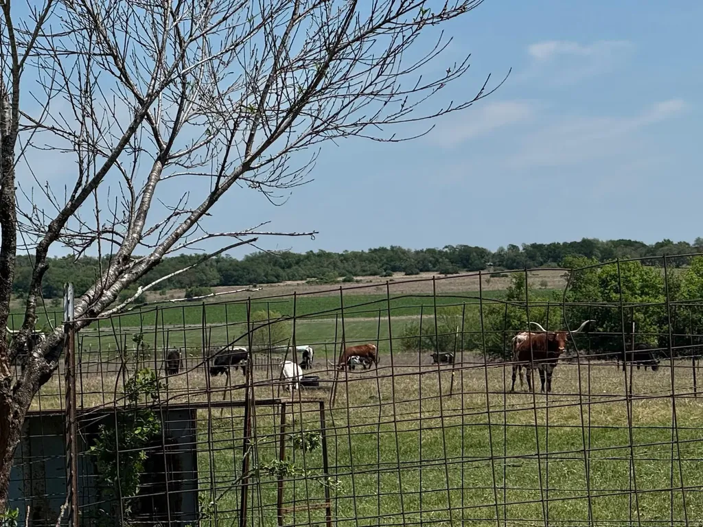 900 County Road 124 Georgetown TX 78626