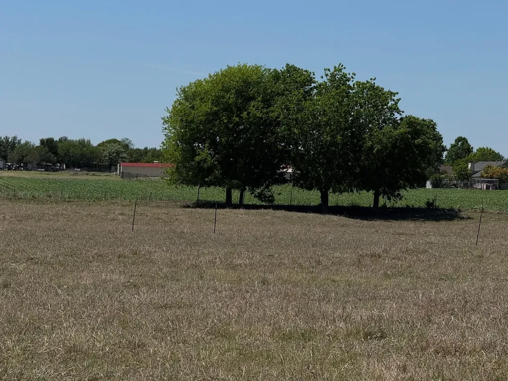 900 County Road 124 Georgetown TX 78626