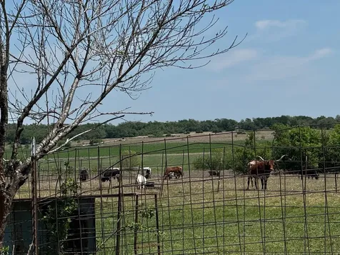 900 County Road 124 Georgetown TX 78626
