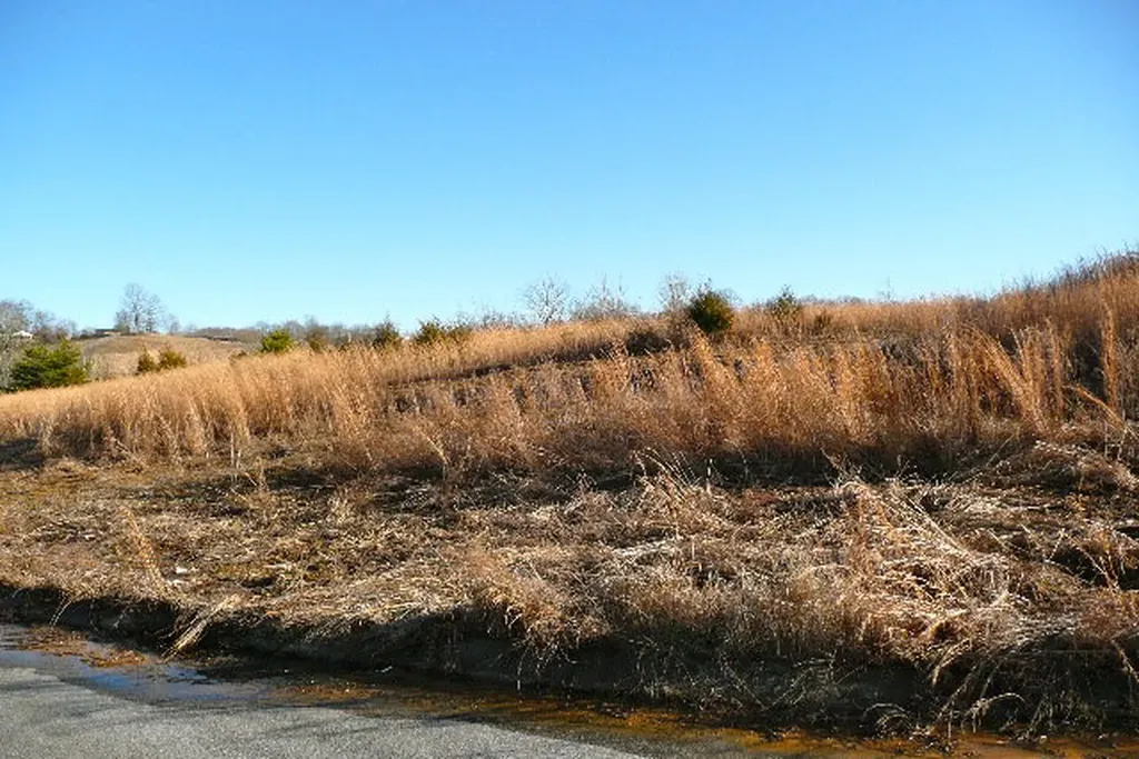 2 Ac Cookeville Highway Livingston TN 38570
