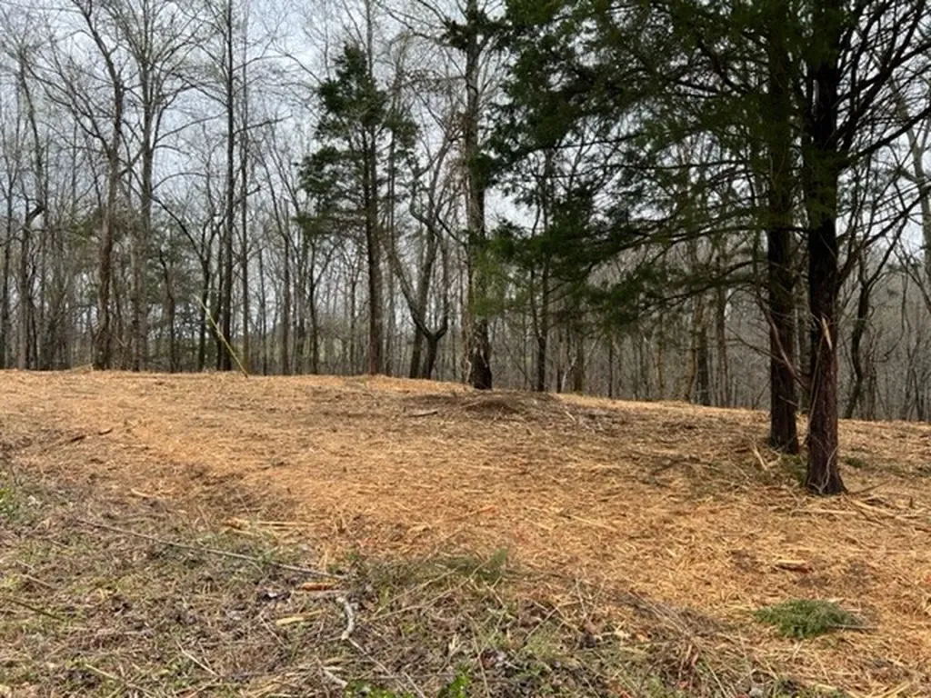 Lot 2 Willow Grove Highway Allons TN 38541