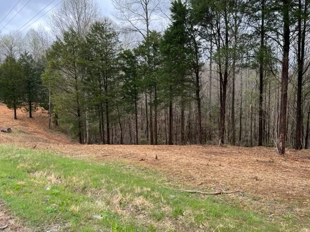 Lot 1 Willow Grove Highway Allons TN 38541