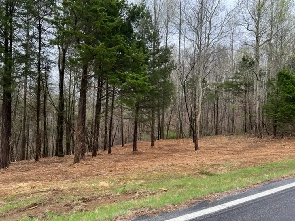 Lot 1 Willow Grove Highway Allons TN 38541