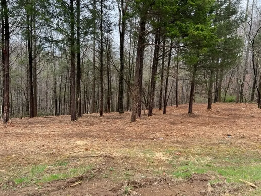 Lot 1 Willow Grove Highway Allons TN 38541