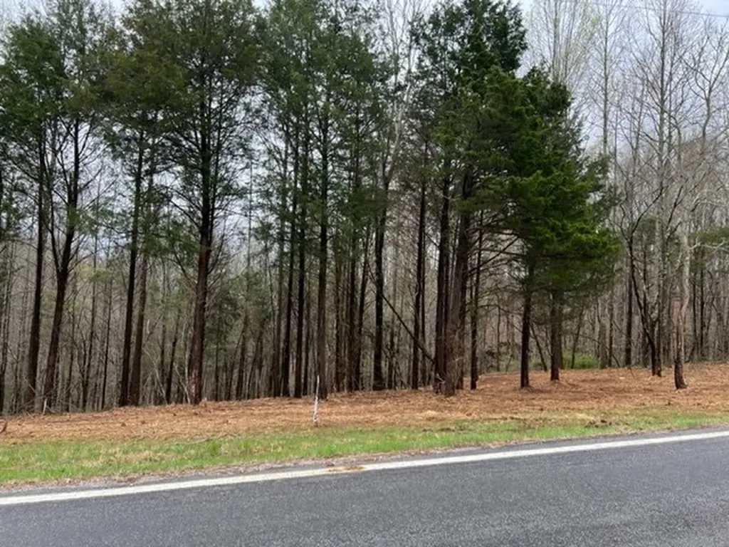 Lot 1 Willow Grove Highway Allons TN 38541