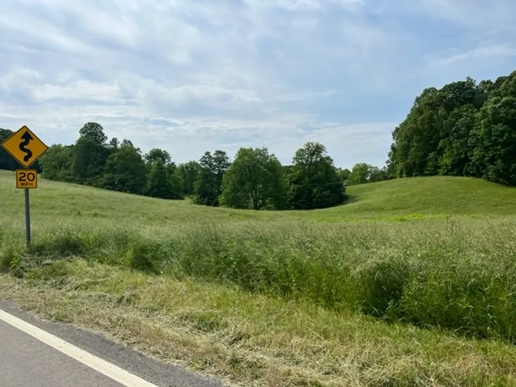 Lot 9 Willow Grove Highway Allons TN 38541